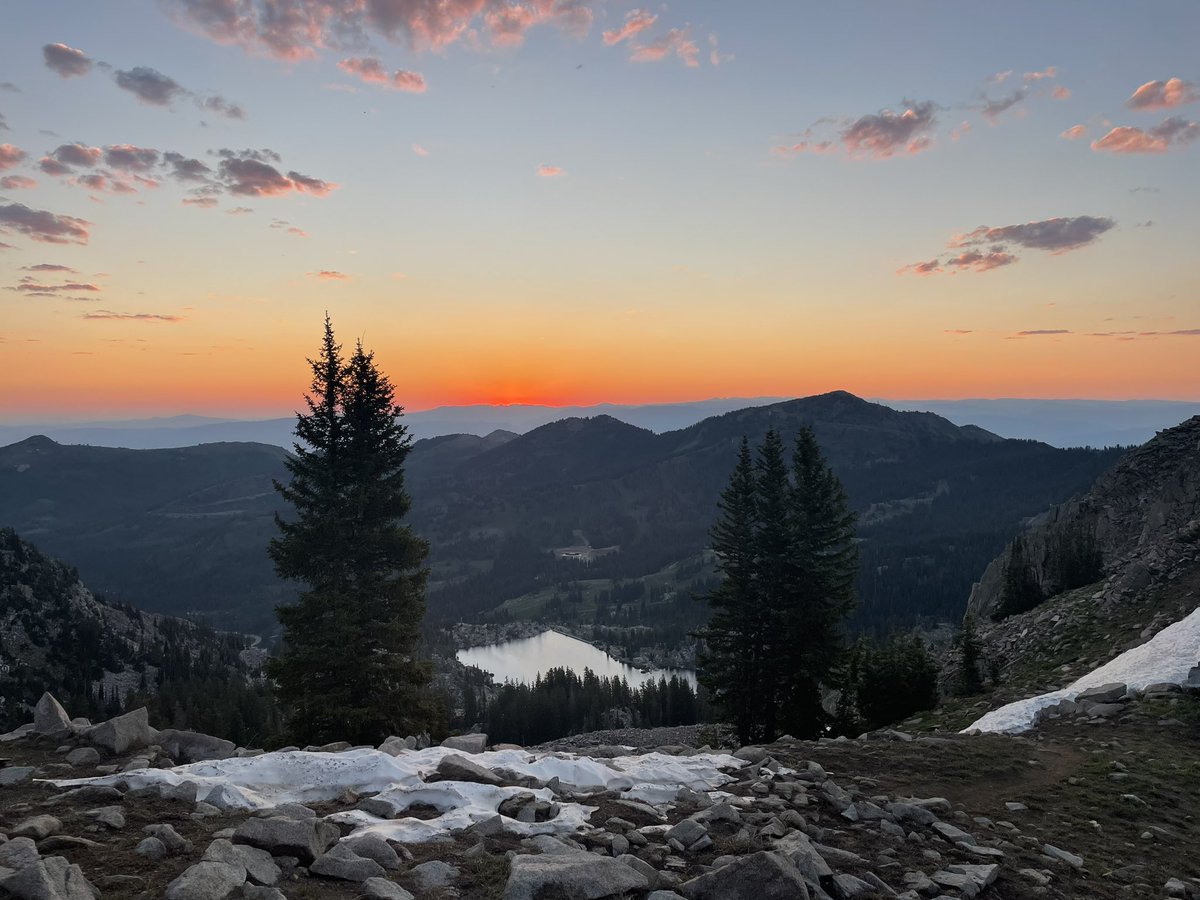 Doug Jenson tweet media