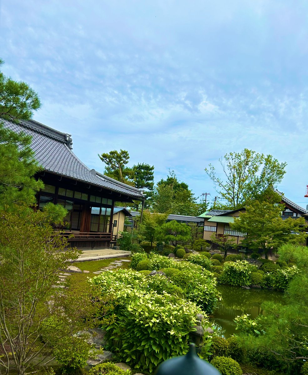jiro108's tweet photo. 1.八八ライブ
2.サウナの梅湯
(いつもよりは早めの就寝)
3.建仁寺で座禅
4.安井金比羅宮にお参り

最高の京都小旅行だった。
他に行きたいところはたくさんあるけど、洛中になだれ込む人々を横目に去っていくのも小気味がいいもので。 https://t.co/HFDoJseoHY