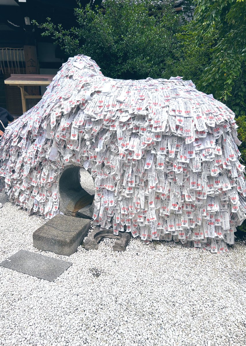 jiro108's tweet photo. 1.八八ライブ
2.サウナの梅湯
(いつもよりは早めの就寝)
3.建仁寺で座禅
4.安井金比羅宮にお参り

最高の京都小旅行だった。
他に行きたいところはたくさんあるけど、洛中になだれ込む人々を横目に去っていくのも小気味がいいもので。 https://t.co/HFDoJseoHY