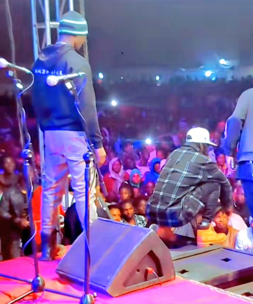 Fangone Comment Section tweet media