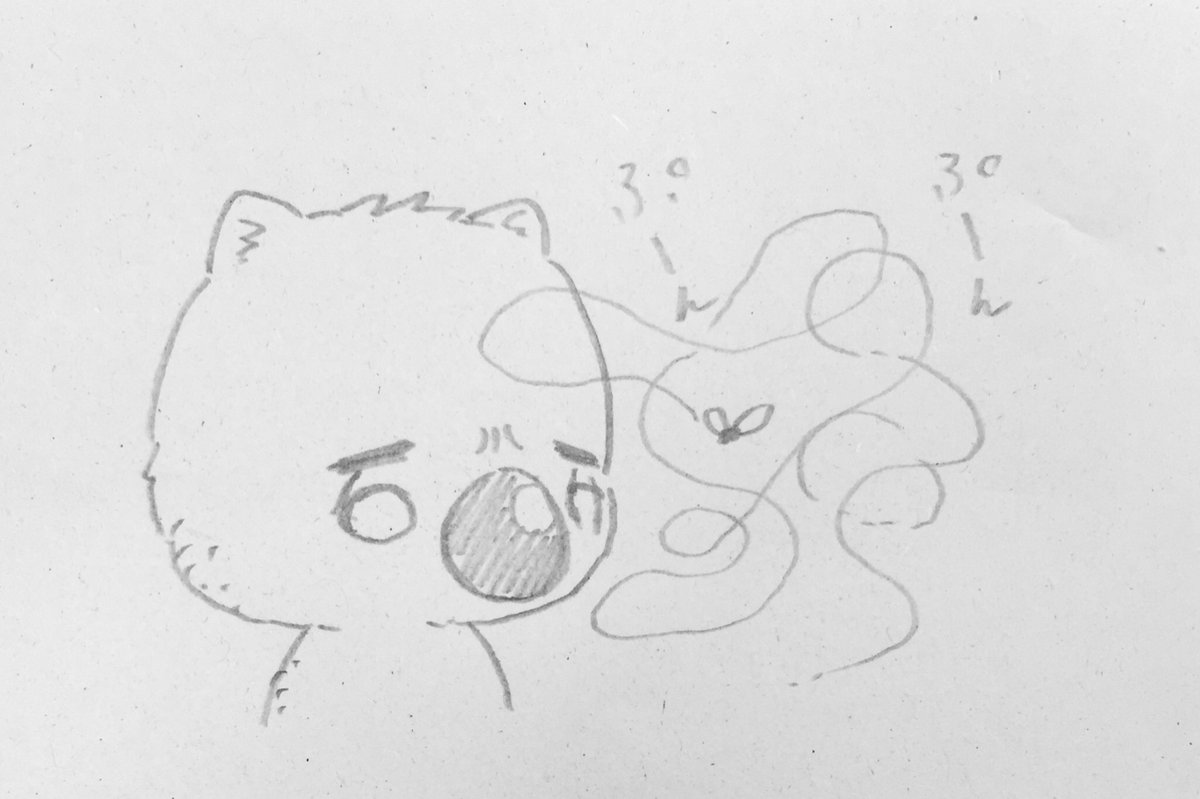 実話 