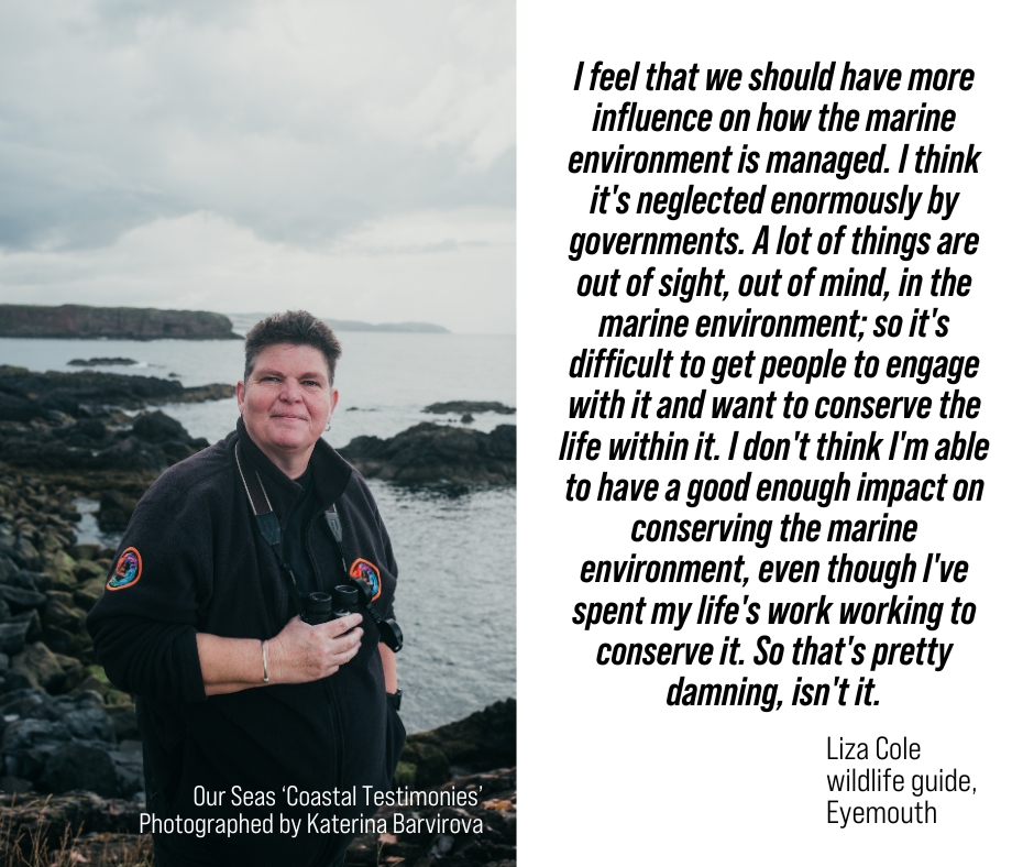 Our Seas tweet media