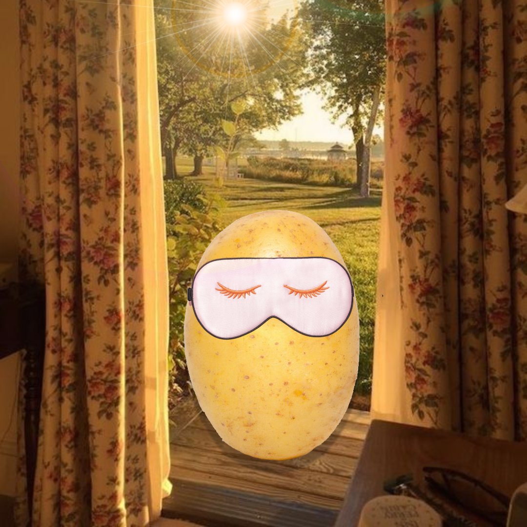 Potatisol's tweet photo. GM To all Potati frens!✨

#Solana #memecoin #Potati https://t.co/48vn3aJyS9