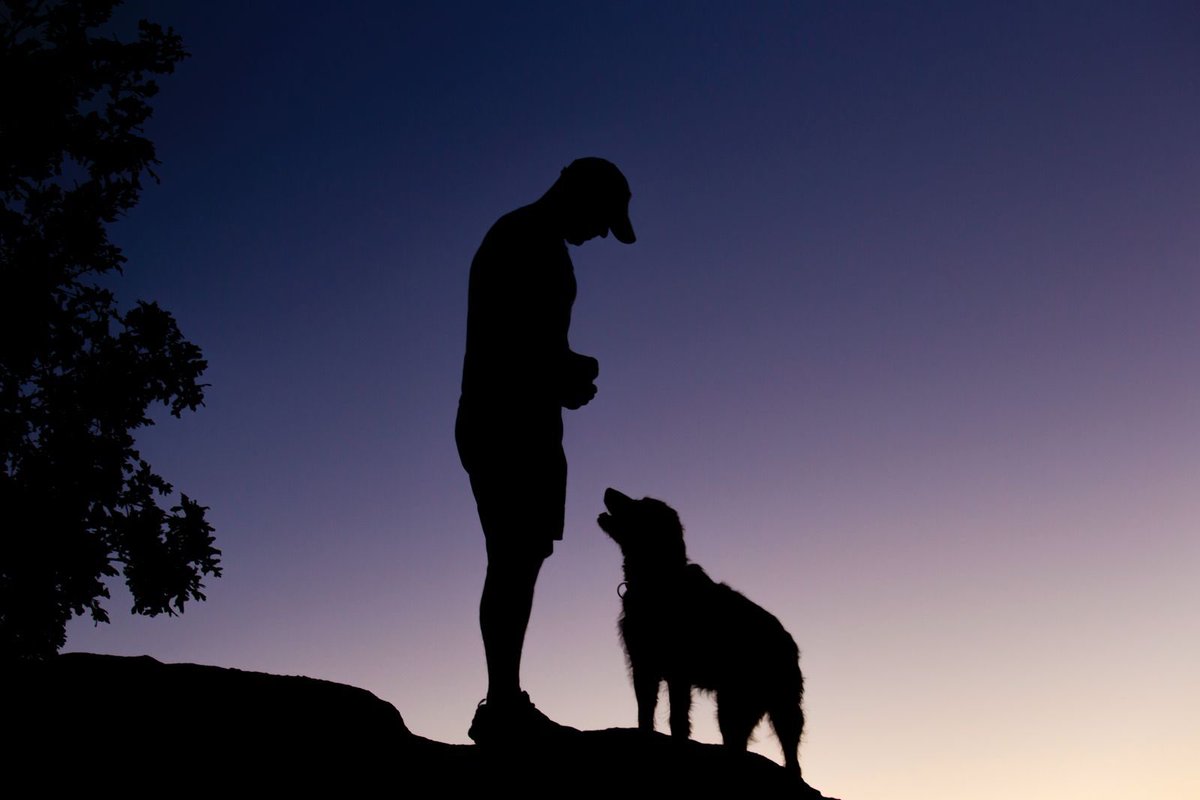 Con el crepúsculo llega la magia del cielo, y qué mejor compartirlo con tus mejores amigos. 

Crepúsculo en Ulaca 11/07/24, el
Astrónomo amateur Juan Gil con su fiel 🐕 
Foto: Juan Díaz <a href="/Obiarenas/">Obiarenas Astro Gredos</a> 
#Ulaca
#astroturismo
#Ávila cielos Reserva Destinos y Pueblo Starlight
<a href="/GOAAVILA/">Grupo de Observadores Astronómicos de Ávila</a>