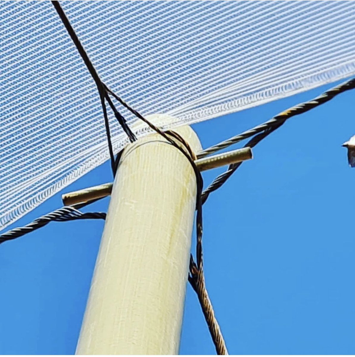 saltuspoles's tweet image. Shadenet structure built with Saltus composite poles: 78mm diameter support composite poles inside the shadenet area. 128mm diameter anchor composite poles on perimeter.#agriengineering #advancedmaterials #citrusfarms #saltuspoles #lanbouweekblad #farmersweekly