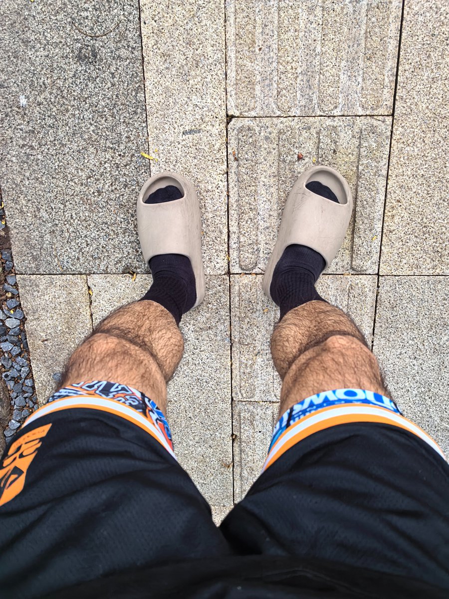 疯人院的狮子 tweet media