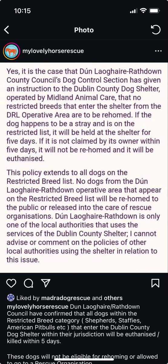 Amy Sexton tweet media