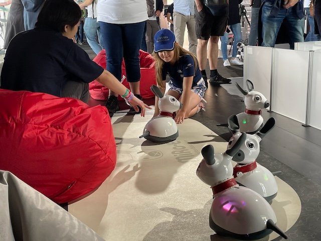 tonyjprescott's tweet photo. At #Goodwood #FestivalofSpeed for day 3 of our #FutureLab exhibit with #SheffieldRobotics exploring the potential of social robots for #STEMeducation and as therapy tools @shefcompsci @cqrmiro @itdfproject https://t.co/e1E2zQN5jG
