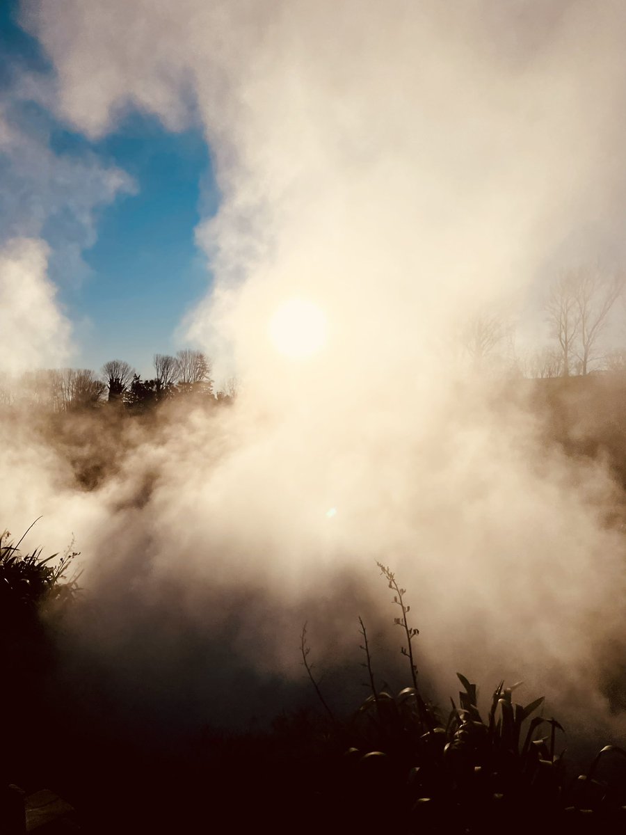 NatashaBarret18's tweet image. Waikite Valley Hot Pools, so good we went twice ♨️

#rotorua #hotpools #waikite #shotoniphone #iphonephoto #iphone12pro #geothermal