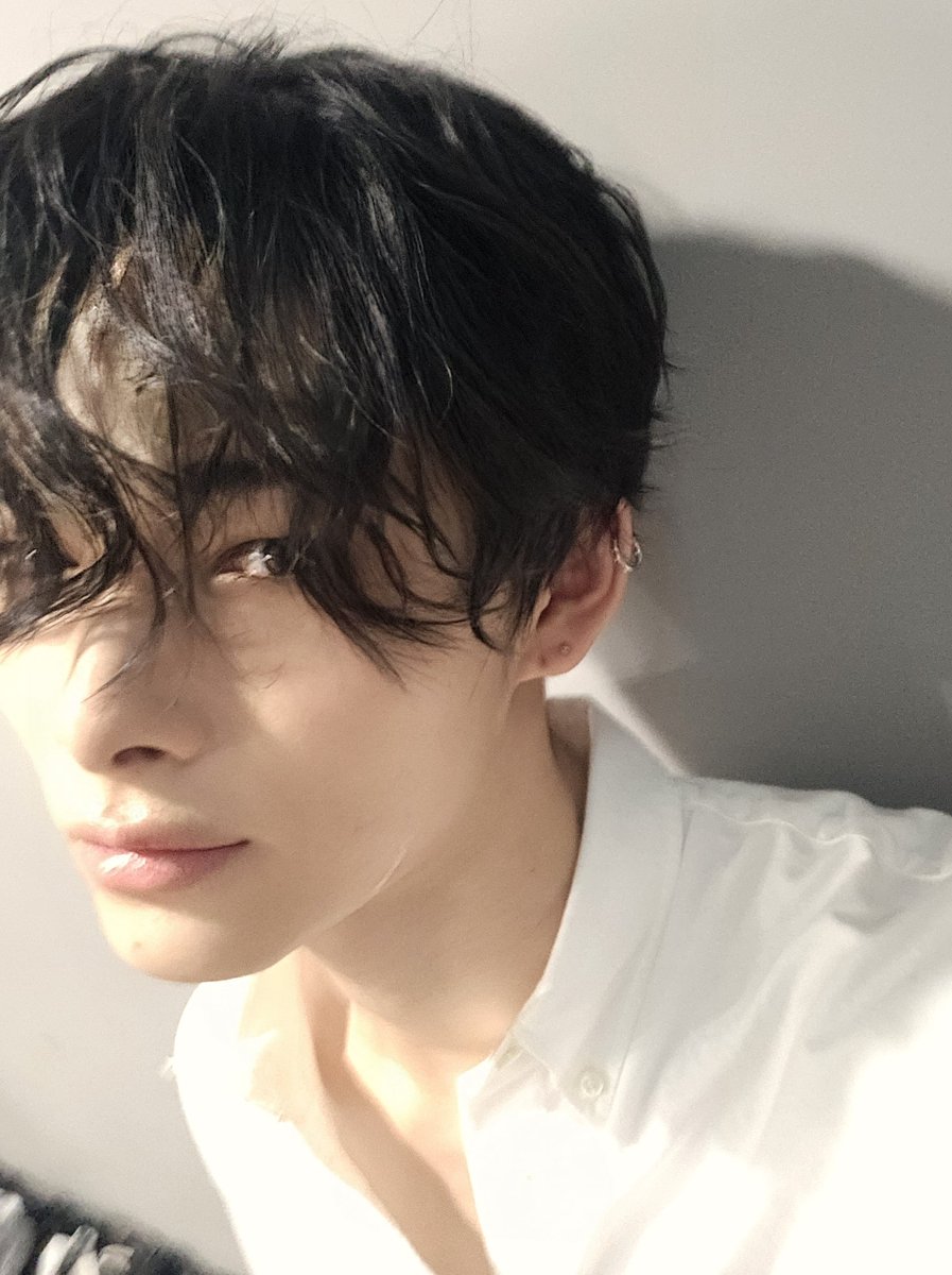 ENHYPEN WEVERSE tweet media