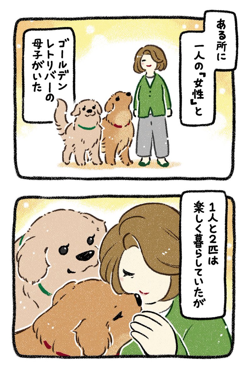 保護犬茶々のお話【第41話】 ▶︎ゴールデン×3番外編【EP.3】 #漫画が読めるハッシュタグ