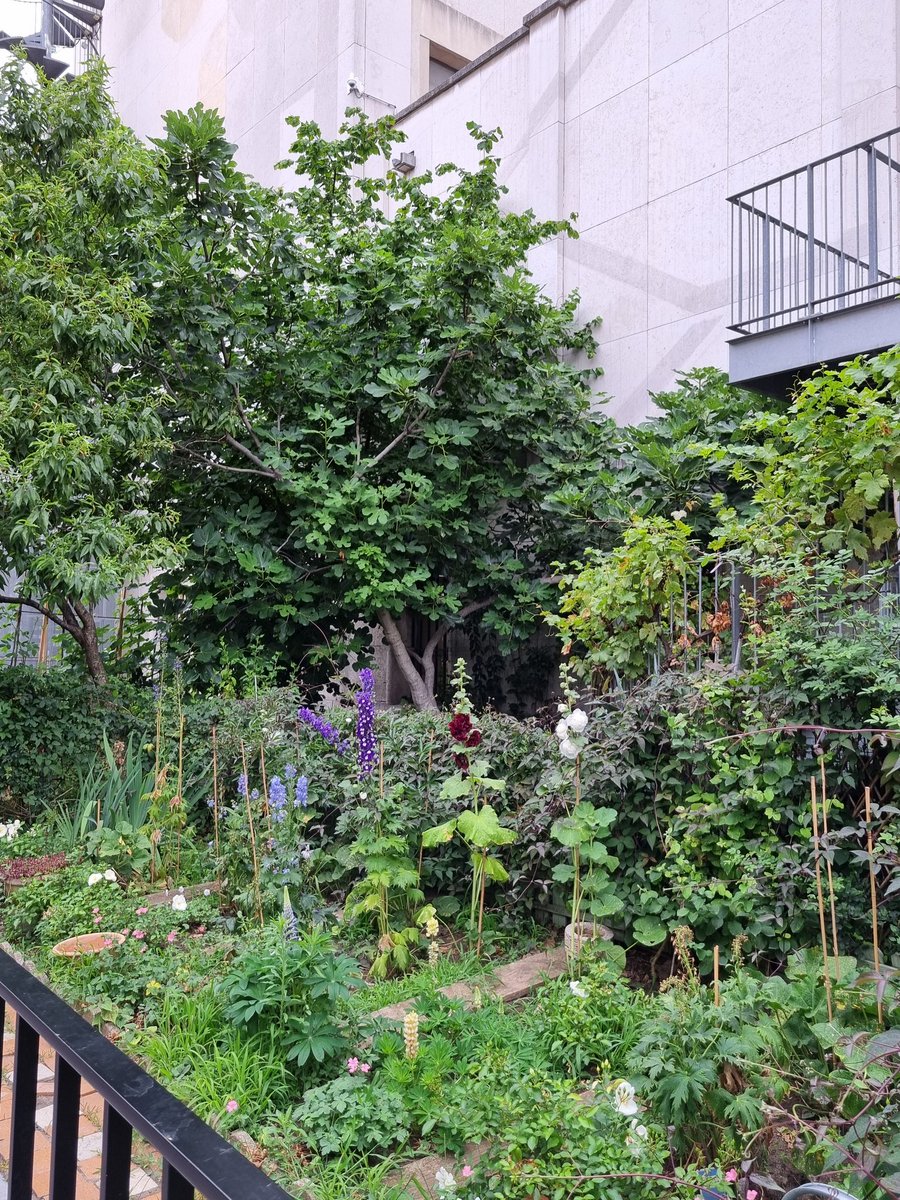 ourdailyspaces's tweet photo. Jardin aux https://t.co/ztQT3INsuR.

Exploring everyday routines and common spaces. A community garden by artist Robert Milin and local volunteers and amateur gardeners to celebrate the opening of Palais de Tokyo in 2002. 

#urbandesign #community #practice #urban #landscape #art https://t.co/C97OXo1Cas