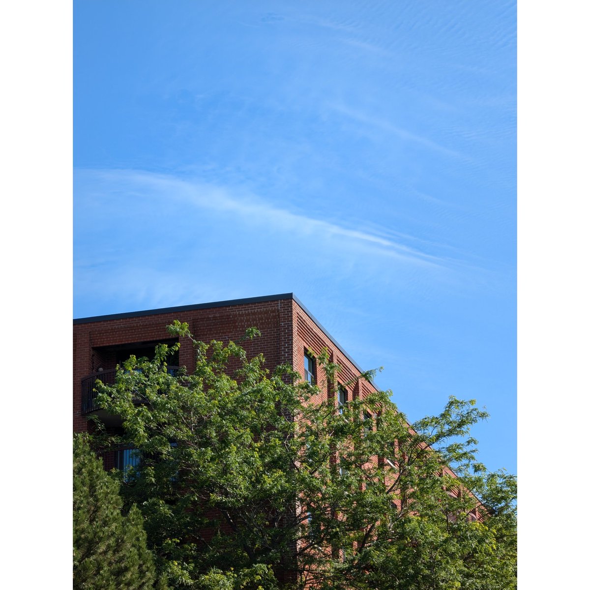 hashcode_error's tweet image. Bricks and Branches: A Harmony of Nature and Architecture
#teampixel