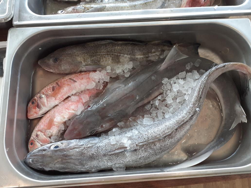 Food Plymouth tweet media