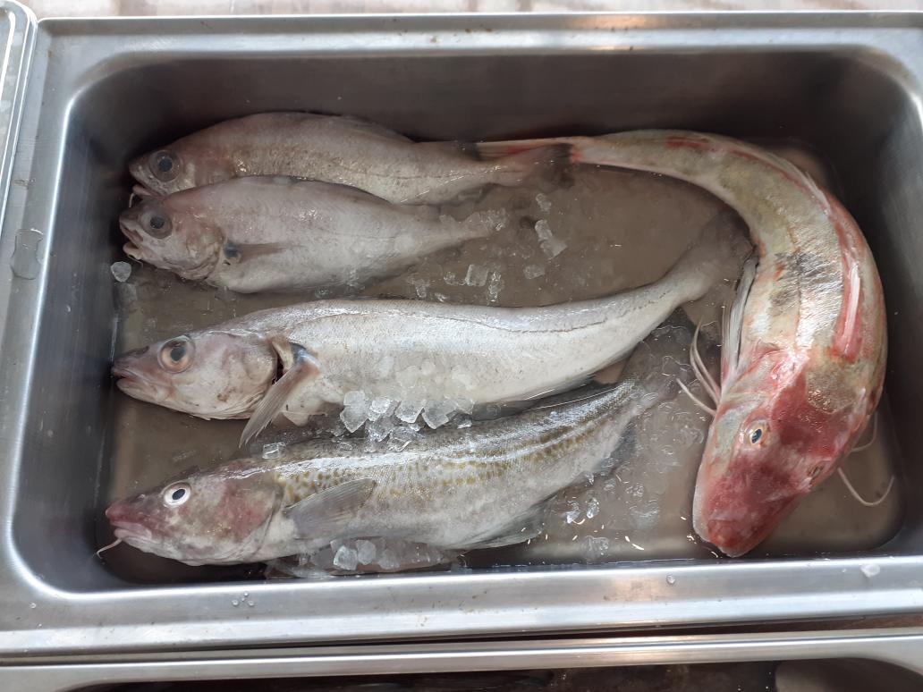 Food Plymouth tweet media