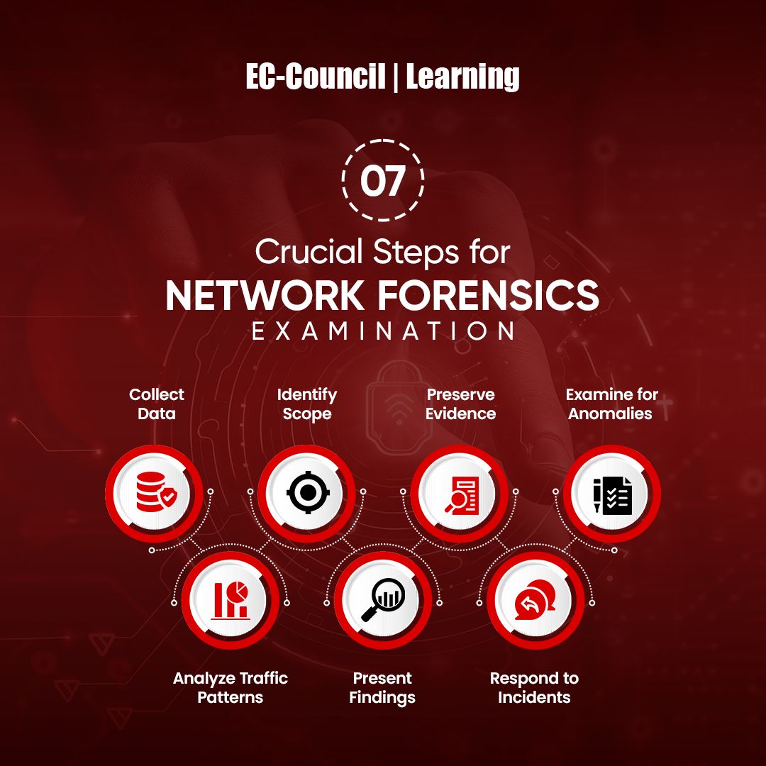CodeRed_Pro's tweet image. 🛡️ Alert! Hidden threats lurk in your network traffic. ️🧐 Network forensics can expose them! Follow these 7 crucial steps to examine and secure networks, ensuring all evidence is collected and preserved effectively. 🛠️ 📣 

#networkforensics #networkforensicsexamination