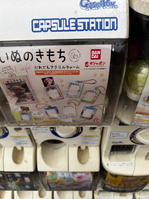 帰り道で犬充したワン 