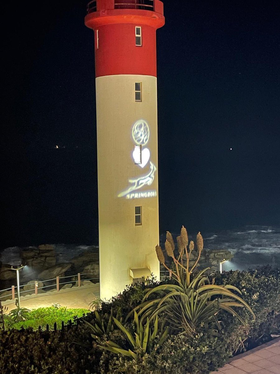 REVOLP's tweet image. A rugby game this day #Springbuck