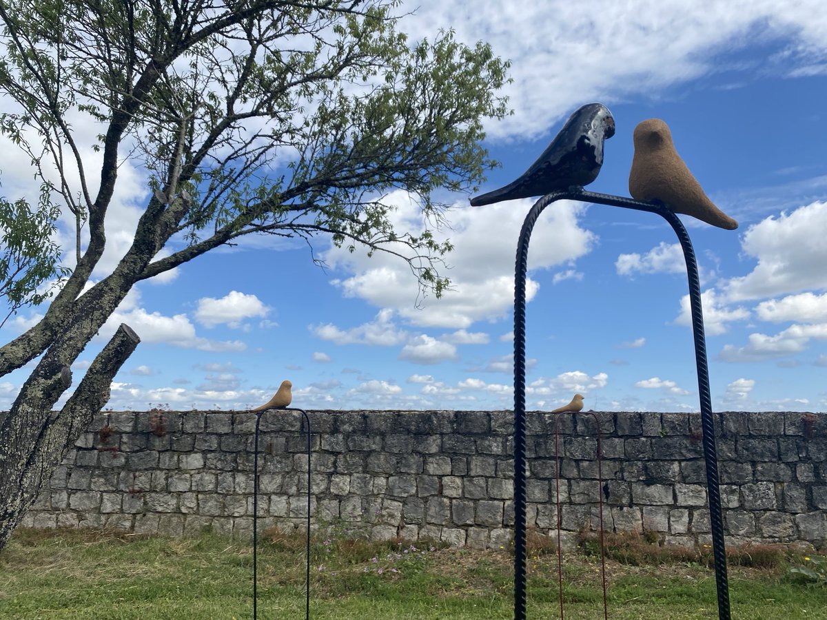 Des oiseaux près à s’envoler au château de Roquefort pour l’exposition d’Isabelle et d’Aart