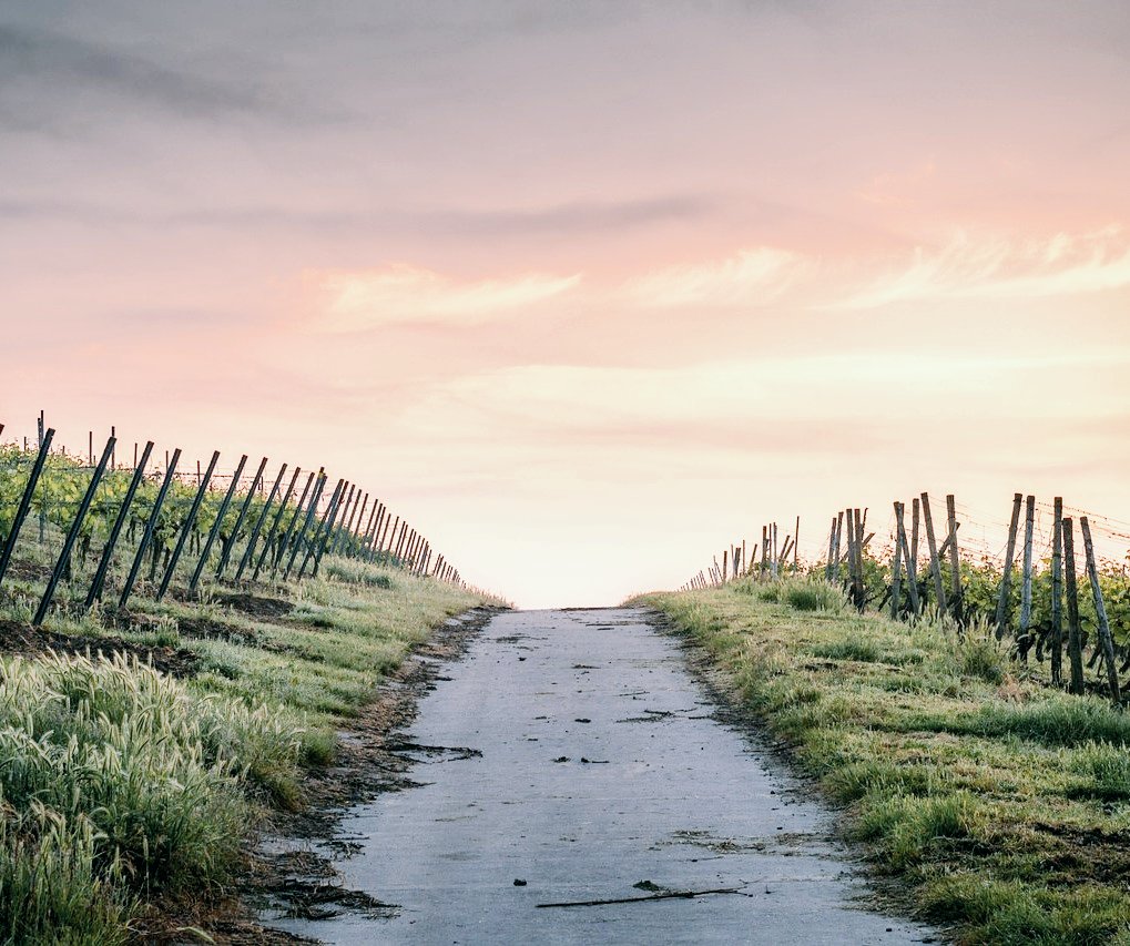 "For all its material advantages, the sedentary life has left us edgy and unfulfilled. Even after 400 generations in villages and cities, we haven’t forgotten: the open road still softly calls like a nearly forgotten song of childhood."
     ~ Carl Sagan