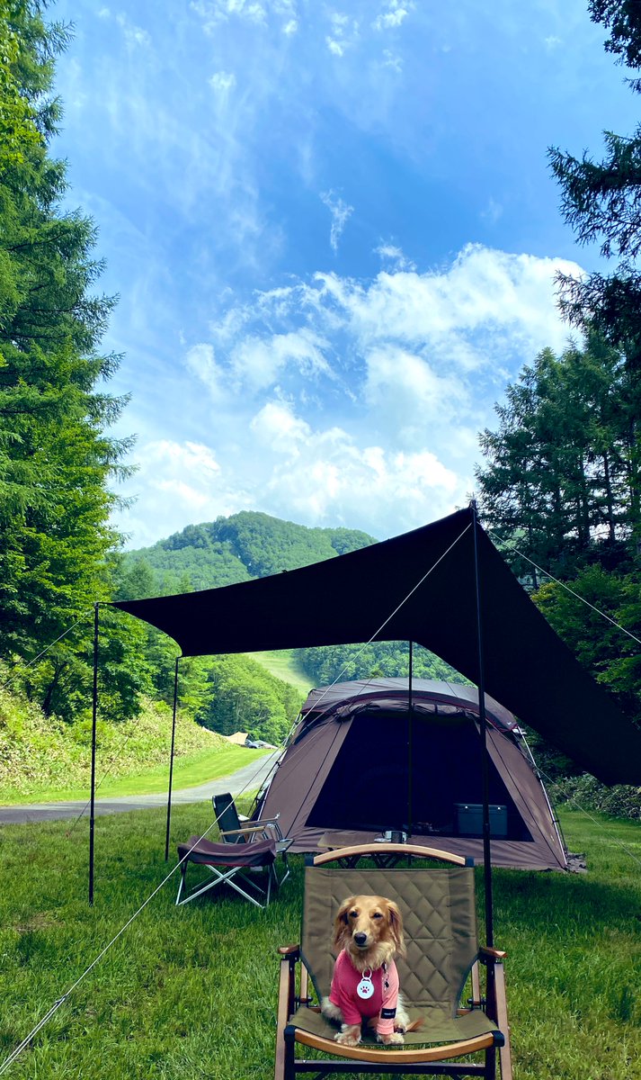 KohaNanoChannel's tweet photo. 丸沼高原オートキャンプ場！
設営終わってロープウェイで2000m白根山に行って来ます！
#丸沼高原オートキャンプ場 https://t.co/BHRX1NYt3D
