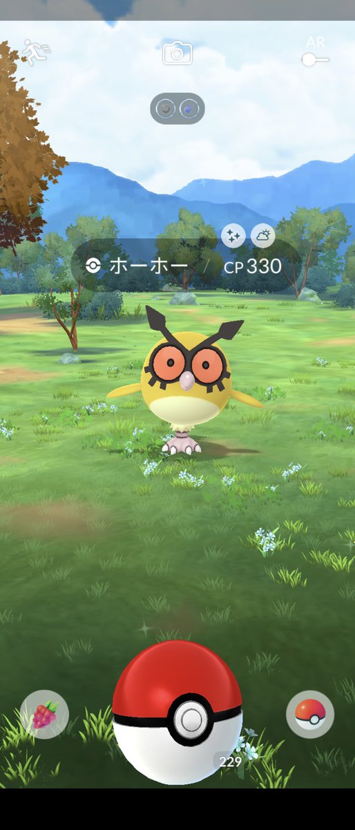 Lotus_UO's tweet photo. なんか思ってるフェスと違う
＃ポケモンGO
#Goフェス2024 
#色違い
#なぜこの色違いが今頃 https://t.co/Xl2RTCt5zp