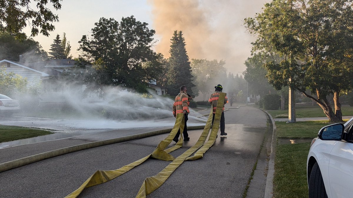 Lindsay Morey tweet media