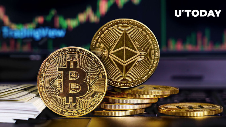 NBTC_finance's tweet image. No, Bitcoin (BTC) Is Not More Expensive Than Ethereum: Myth Debunked

news.nbtc.finance/no-bitcoin-btc…
&quot;#EthereumFees #BitcoinVsEthereum #CryptoTransactions #DeFi #PeerToPeerPayments #Crypto #Bitcoin #NBTC&quot;