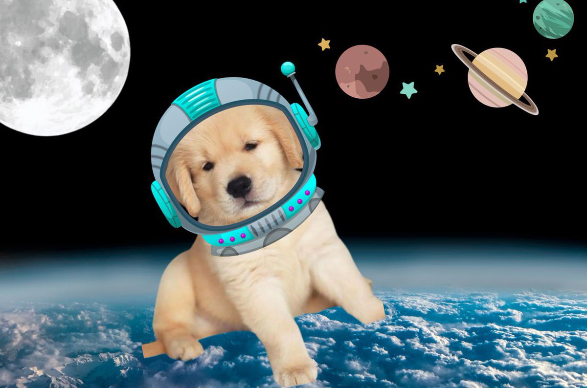 BullishChaddd's tweet image. $sammy looks even better