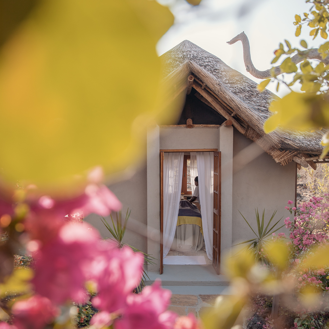 Finch Hattons Luxury Tented Camp tweet media