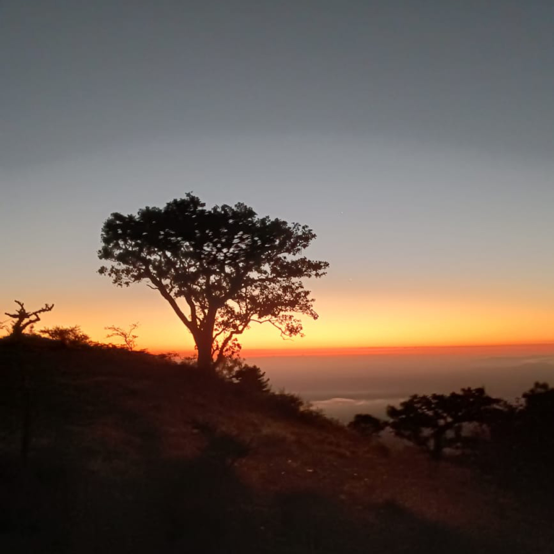 Embrace the moment and let the natural splendor captivate your soul.

virginlimitededition.com/finch-hattons/

📷: Finch Hattons

#FinchHattons #SunriseMagic #NatureBeauty #Tranquility #SafariSplendor