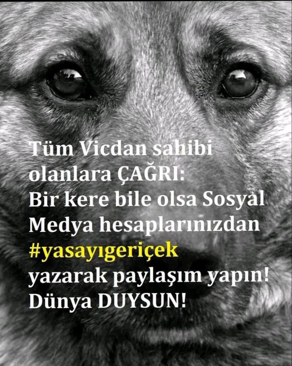 Her canlının yaşama hakkı vardır!
YASAYI GERİ ÇEK!