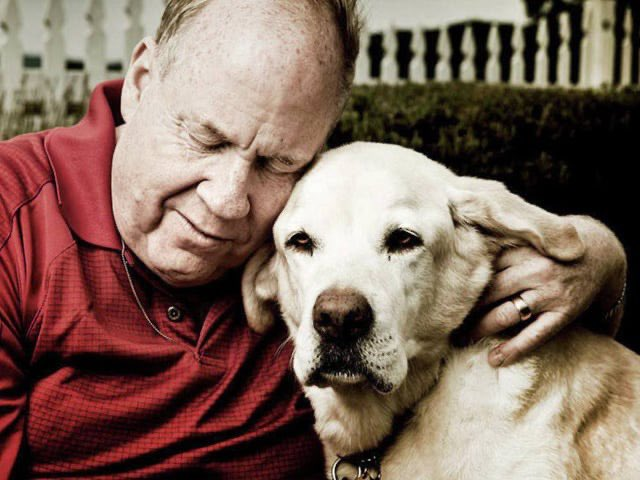 womenpostingws's tweet photo. Roselle, a guide dog afraid of thunder, led a group of people including her blind owner down 78 floors on 9/11 despite the deafening noise and trembling floors.  She only stopped to give kisses to a woman who was having a panic attack. https://t.co/eeTAE03qOa