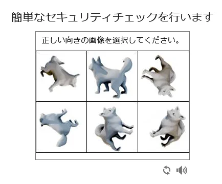 めんどくさい人です
向きに『正しさ』なんかないと思います 