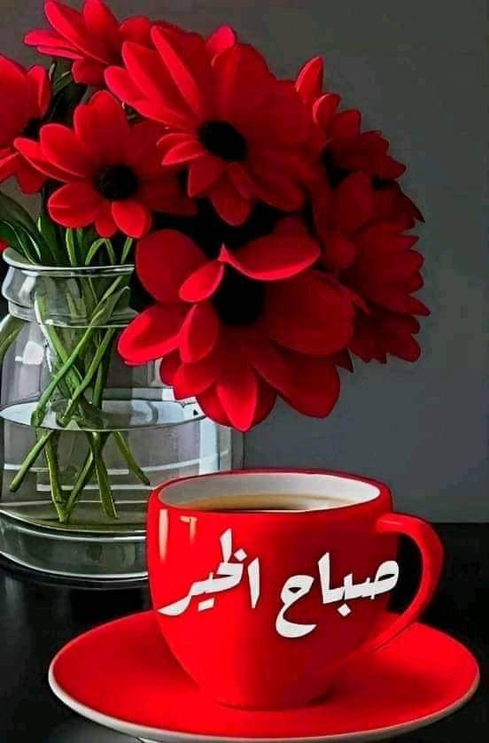 totaashrafone's tweet photo. الرحمة دائما رفيقه الالم https://t.co/RoCxNNpCLu