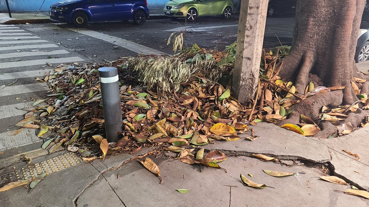 CirezDanDM's tweet photo. A dónde se solicita qué se levante este tiradero? Lleva ya dos semanas y reduce el paso peatonal en Obrero Mundial y Pestalozzi en la colonia #PiedadNarvarte @BJAlcaldia @NarvarteVecinos @_Narvarte https://t.co/BCq91atQkD