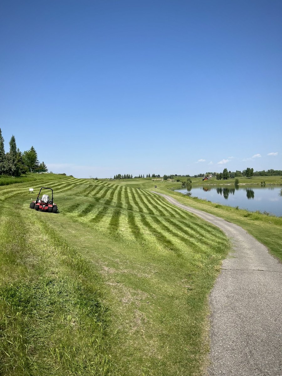 SpringbankLinks's tweet photo. This double-wheeled Ventrac mower is the best purchase ever for us. It cuts slopes like a mountain goat 🐐 It has a slope meter to warn on the tipping point and has allowed us to cut places we have never been before.
#SpringbankLinks #VentracMower #Turfcare https://t.co/4WohoXoQXO