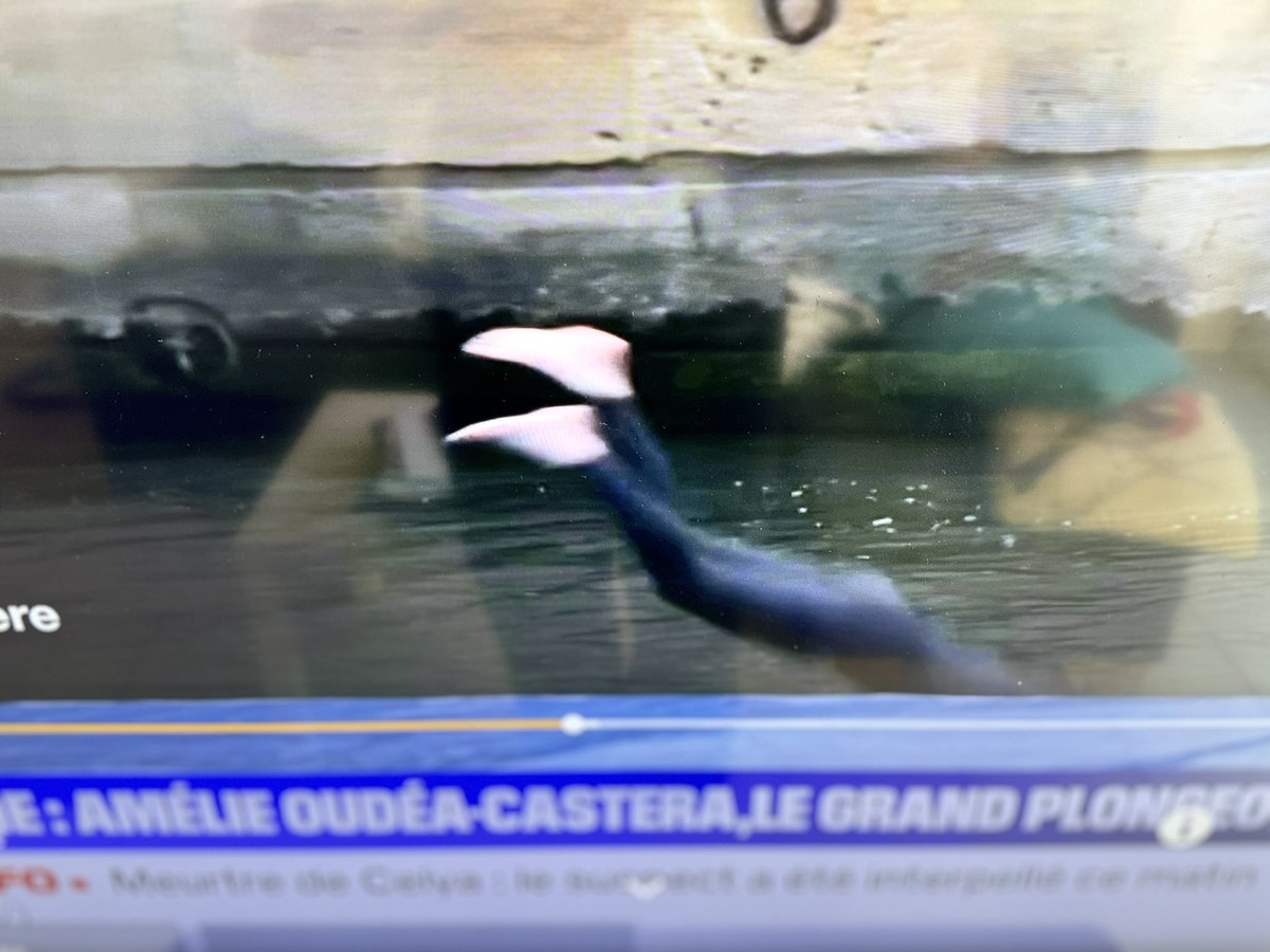 PV Normandy Garden tweet media