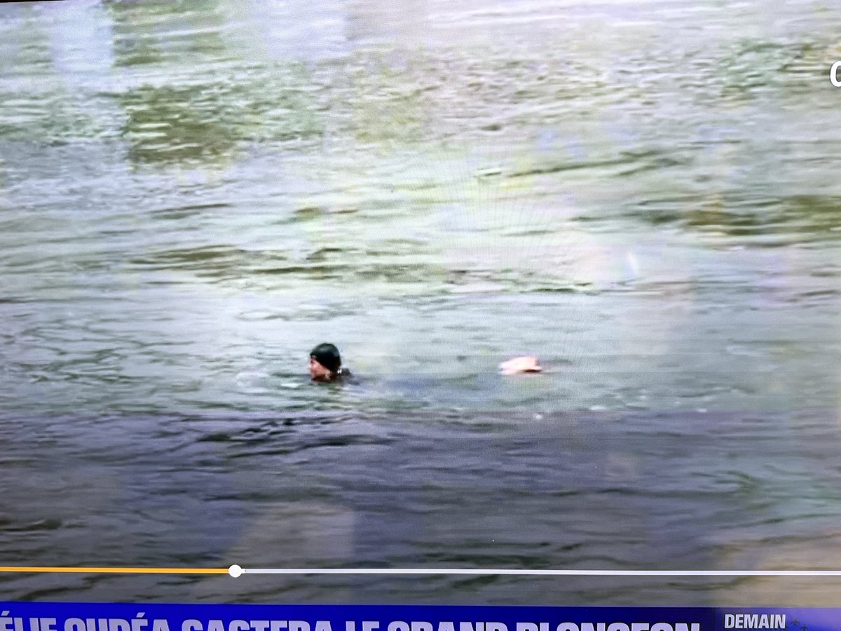 PV Normandy Garden tweet media