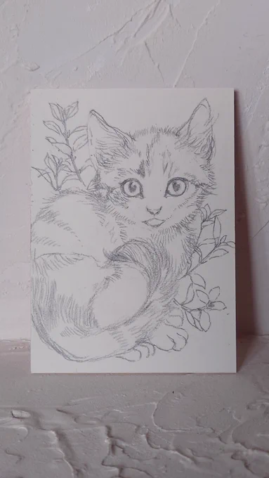 庭に子猫の背景の植物を探しに行きました。銅色が入るシンプルだけど可愛い、シナロアセージの葉っぱにしようと思います。#裏花火販売案内 #裏花火落書 