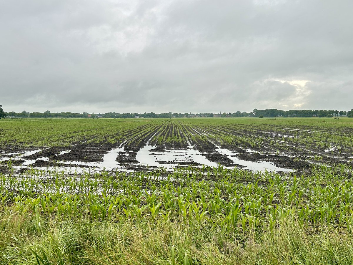 Harsta's tweet photo. Voorlopig wel weer #Regen genoeg gehad. In Zuidhorn viel 41mm. @janvissersweer https://t.co/EZN7nrcxJu