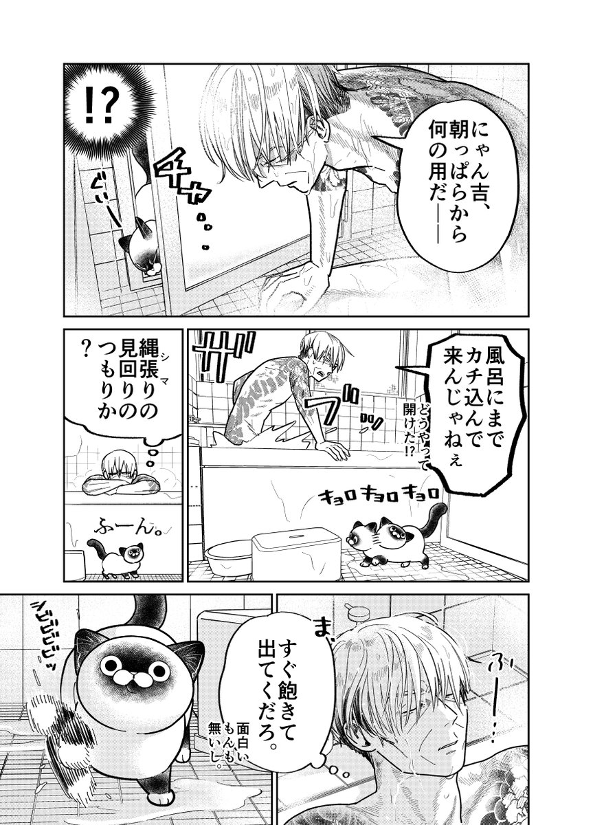 野良猫にお風呂場をカチ込まれた元極道の話。

(1/4)

#漫画が読めるハッシュタグ
#猫にカチ込まれる暮らし 