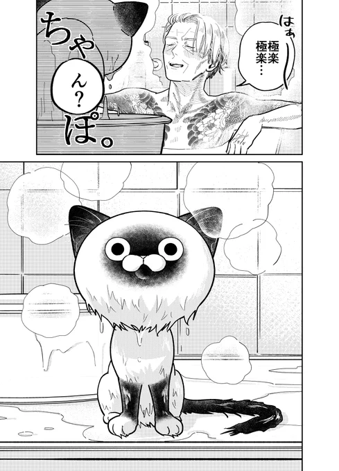 野良猫にお風呂場をカチ込まれた元極道の話。

(3/4)

#漫画が読めるハッシュタグ
#猫にカチ込まれる暮らし 