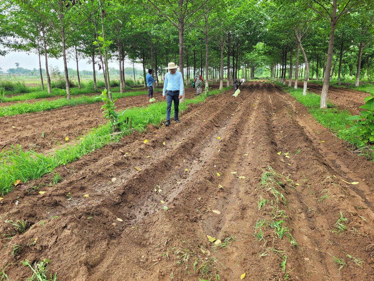 Nitin Namdev tweet media