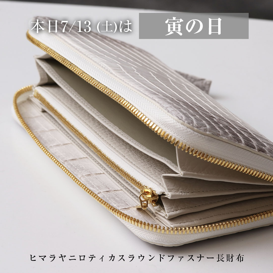 東京クロコダイル ナイルクロコダイル マジョーラ（オーロラ 
