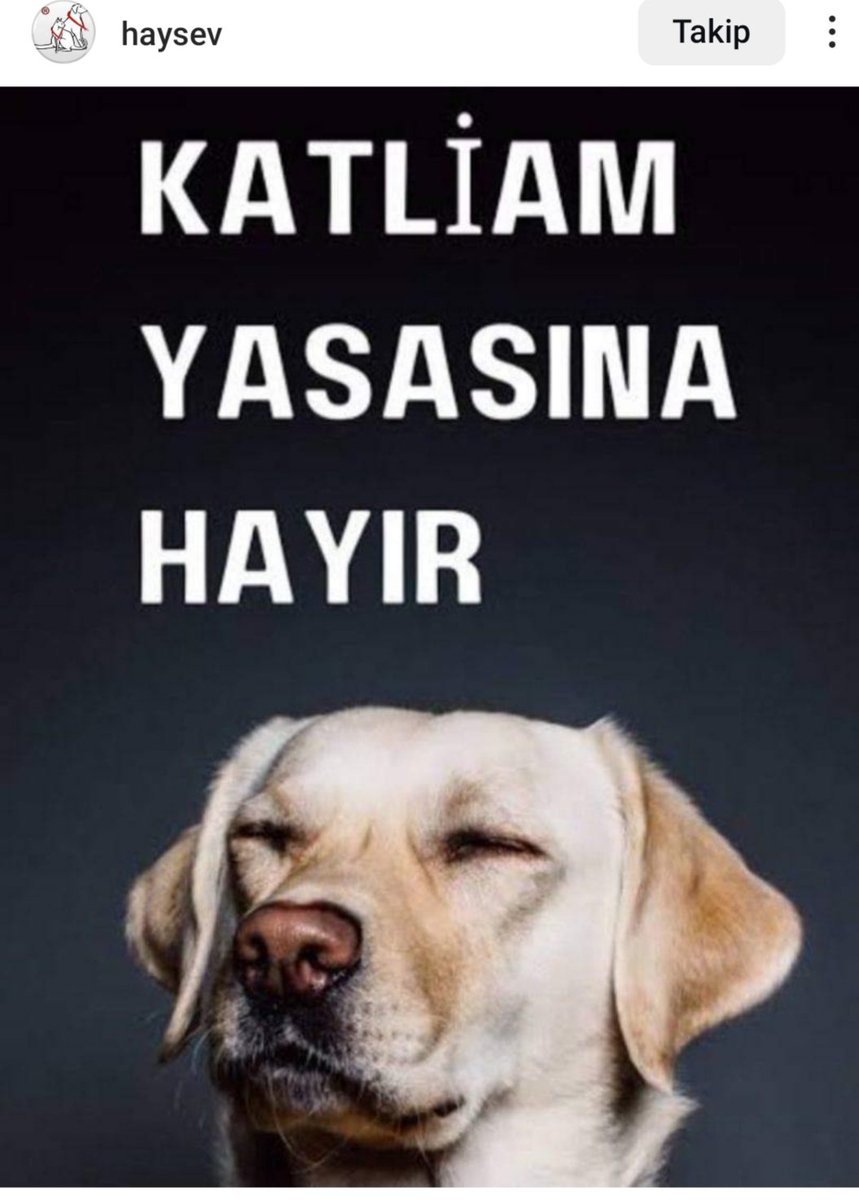 herparadoks's tweet photo. Sorumluluğunu alamayacağın canı al, sıkılınca sokağa at. Ardından da yaptıkların doğruymuş gibi yaşa. Yazık! Çok yazık!
Öldürme yasasına ihtiyaç yok, insan hata ve suçlarını durdurma yasasına ihtiyaç var. https://t.co/re2PkXPZTh