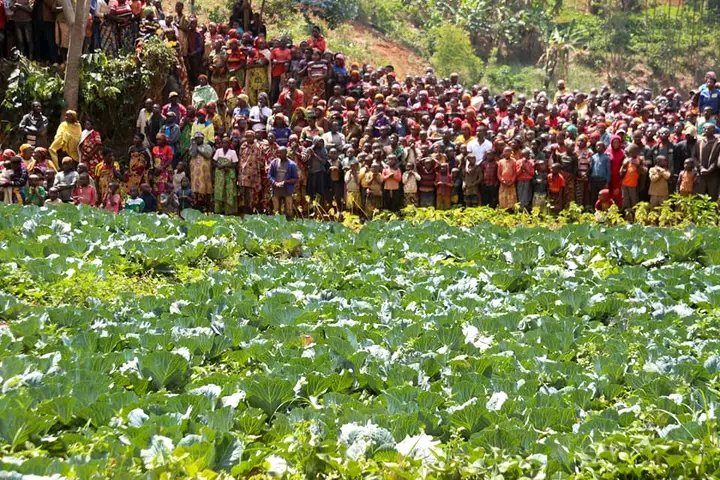 NEddyssa32359's tweet photo. Ndatahije babandi ndababaza ko uyu #Murongo bawubonye?#Kizigenza Imbere natwe abenegihugu inyuma, #Umurongo mw'iterambere ukaba urabonetse.Twigire ku #kivi dushigikize ibikorwa #Sebarundi🇧🇮 @GeneralNeva maze tugende twese tugana ya Mbonakazoza y'Uburundi 🇧🇮 #CarvaneInkebuzo https://t.co/721AFe8PS6