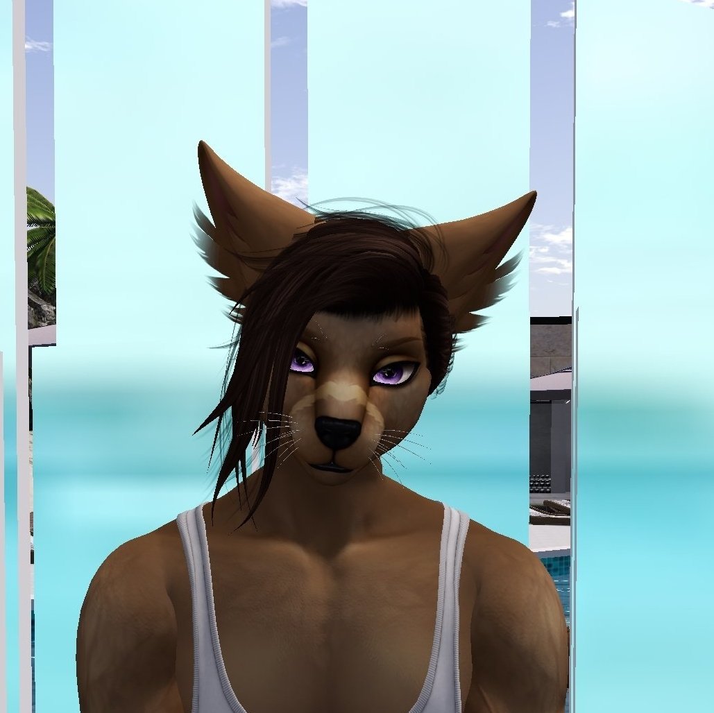 #NewProfilePic