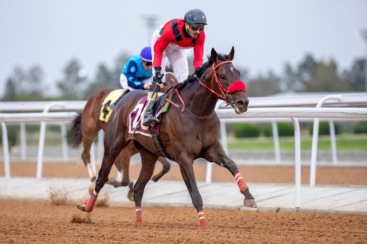 مهرٍ دمه بـ ( معتَّق العود ) مخلوووط
دامه تخطرى سبَّق الخيل / وأفلح

مفروض يلبس عقب ما خلَّص الشوط
عقال ، وعمامة ، وخنجر ، ومشلح