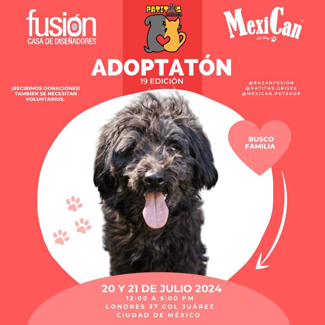 bazarfusion tweet media